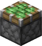 SuperGatox_YT