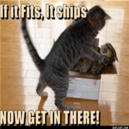 Funny cat. Roblox decal