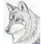 running wolves!