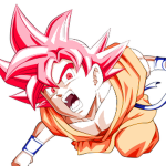 The Official Goku Fanclub