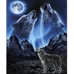 Wolf Pack Hangouts