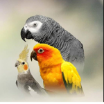 Some cool people who like birds