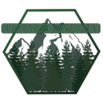 Evergreen Roleplay (new)