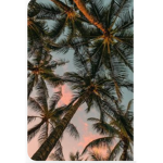 Palm Tree Squad!