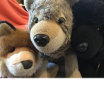 Fox&Wolf&Murphy