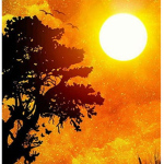 Solarite Studio