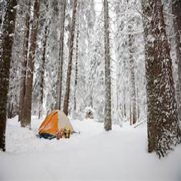 Camping Hangout