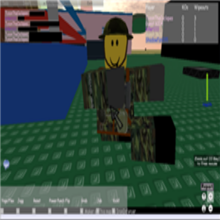 Killer1111 KUNG FU FIGHTING! Roblox decal