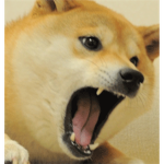 Doge *Official Fan Group 2013*