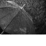 Rainy.night