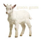 Graces Goats