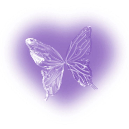 ⋆｡⋆ ୨「🦋」୧ ⋆ ｡⋆