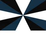Navy of Visland