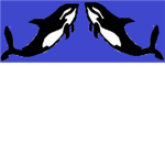 Camp Orca