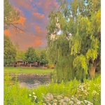 cottage!!
