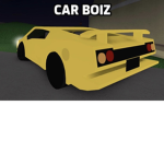 Car boiz