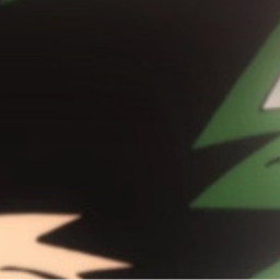 ＊