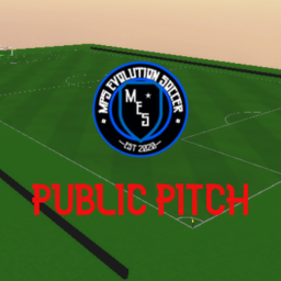 MES - Public Pitch
