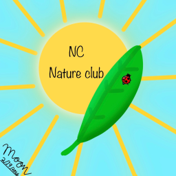 (spring)  nature club