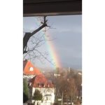 LosteGruppe