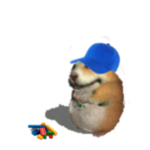 Little Boy Chomik