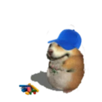 Little Boy Chomik