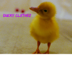 Ducky Clxthez