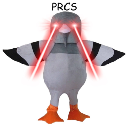 Pigeon Raiders Cloth Shop