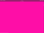 Hot pink fan