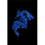 Blue Dragon Academy
