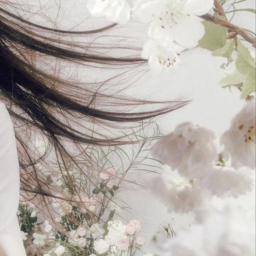 ✧