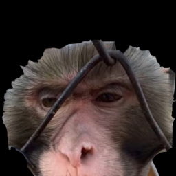 TJTJTH (The journey to jakes treehouse)