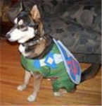 Official Zelda Fan Club
