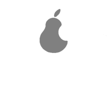 ( NEW PRODUCT RELEASED ) Pear Store