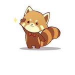 Panda Cub