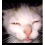 toopmodel