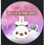 UniPanda Gamers