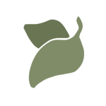 Leaf_Studios