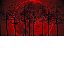 Blood Forest 2.0 (FIXED)