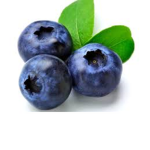 blueberrys pies in the war II