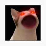 We Pop Cat Team