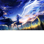 <> Angels Life <>