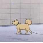 Shiba inu :)
