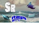 Sting Rays Cheerleading Group!