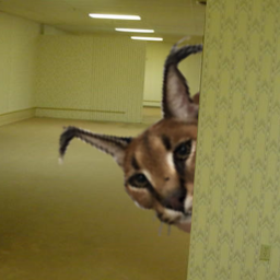 escape floppa in the backrooms