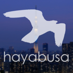 Hayabusa Airlines