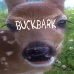 BUCKBARK Group Thumbnail