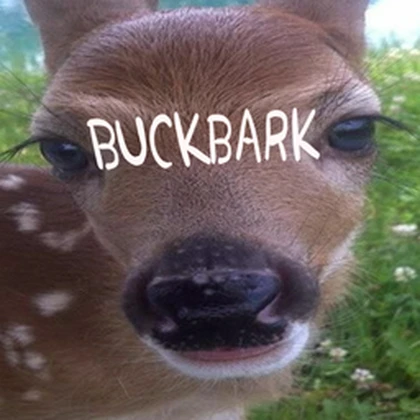 BUCKBARK Roblox group icon