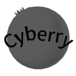 Cyberry Security