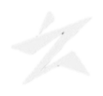 Z LEAGUE MERCH